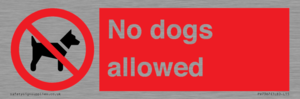 No dogs allowed
